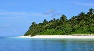 Частный остров на Мальдивах - Изображение #2, Объявление #930807