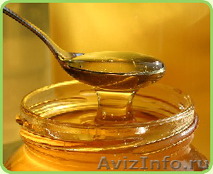 Предлагаю мёд с собственной пасеки - Изображение #1, Объявление #721829