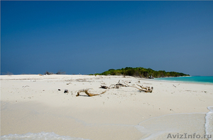 Чудесный остров на Мальдивах - Изображение #7, Объявление #942607