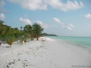 Чудесный остров на Мальдивах - Изображение #6, Объявление #942607