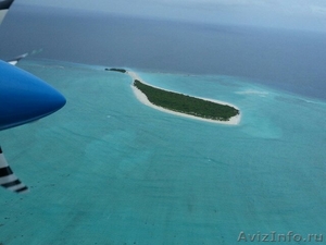 Чудесный остров на Мальдивах - Изображение #1, Объявление #942607