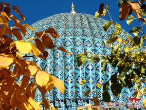 В Узбекистан на Ноябрьские праздники - Изображение #1, Объявление #965781