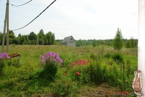Сдам или продам земельный участок 20ГА в 250 км от Москвы - Изображение #3, Объявление #977610