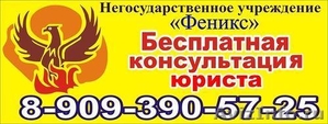 Антидолг «Феникс» - Изображение #1, Объявление #999165