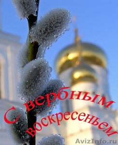 Продам вербу оптом по низким ценам в Москве и МО - Изображение #1, Объявление #1023083