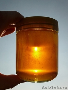Продаем башкирский мед с собственной пасеки - Изображение #1, Объявление #1039693