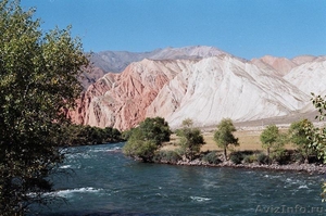 Рыбалка в горных реках Киргизии. - Изображение #5, Объявление #1045617