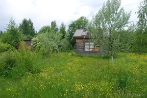 Продам летний дом в деревне на Волге в 130 км от МКАД - Изображение #6, Объявление #596675