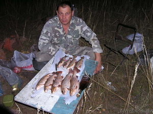 Рыбалка в горных реках Киргизии. - Изображение #9, Объявление #1045617