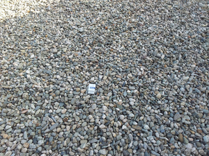 Речной камень, галька, валун, песчаник. - Изображение #1, Объявление #1064572