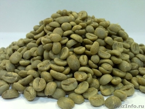 Зеленый кофе оптом, 399 руб за кг - Изображение #1, Объявление #1066443