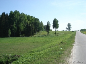 Земельный участок в КП Ливу, Латвия - Изображение #4, Объявление #1097721