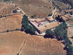  продаю  винный завод в Испании - Изображение #1, Объявление #1094702