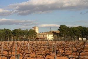  продаю  винный завод в Испании - Изображение #8, Объявление #1094702