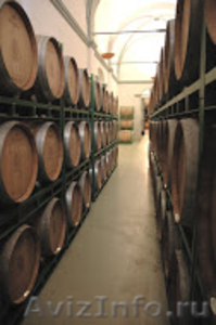  продаю  винный завод в Испании - Изображение #7, Объявление #1094702