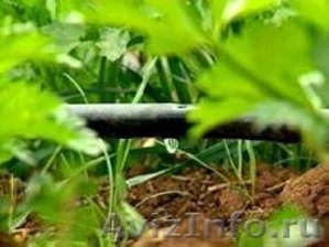 КЛ 100 Капельная лента для системы автоматического полива, орошения растений - Изображение #2, Объявление #1087891