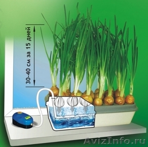 Выращиватель пера зелёного лука, чеснока гидропонная установка Луковое Счастье - Изображение #3, Объявление #1087052