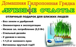 Выращиватель пера зелёного лука, чеснока гидропонная установка Луковое Счастье - Изображение #4, Объявление #1087052
