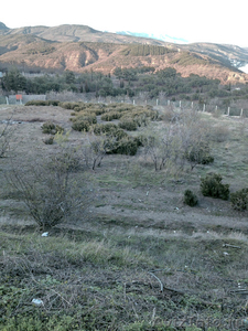 Продам участок 2,25 гектара Алушта (Крым, ЮБК) - Изображение #1, Объявление #1111554