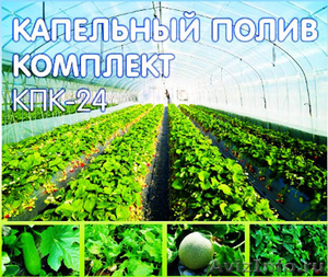 Система автоматического капельного полива, орошения растений КПК 24К без таймера - Изображение #1, Объявление #1099712