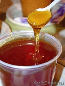 Продам мед гречишный - Изображение #1, Объявление #1118571