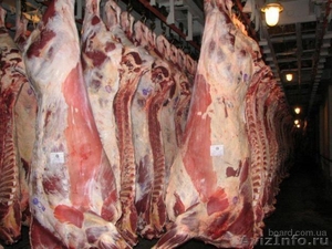 Мясо говядины оптом с доставкой по России - Изображение #1, Объявление #1116493