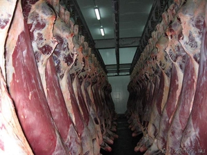 Мясо говядины оптом с доставкой по России - Изображение #3, Объявление #1116493