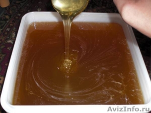 Продается башкирский мед с собственной пасеки - Изображение #1, Объявление #1147757