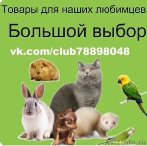 Зоотовары для домашних животных - Изображение #1, Объявление #1168451