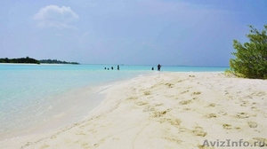Отдых на Мальдивах - Изображение #2, Объявление #1169409