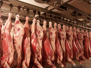 Оптом, на постоянной основе, закупаем мясо сырье - Изображение #1, Объявление #1166544