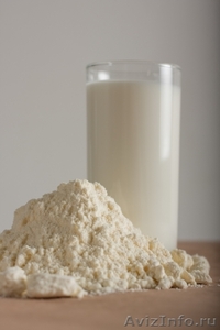 сухие сливки сухое молоко сыворотка сухая лимонная кислота концентрат белка 55% - Изображение #1, Объявление #1165580