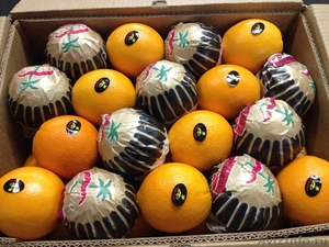 Апельсины сорт «Валенсия» калибр 48 и 88 Страна происхождения Египет. - Изображение #2, Объявление #1229812