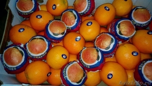 Апельсины сорт «Валенсия» калибр 48 и 88 Страна происхождения Египет. - Изображение #1, Объявление #1229812