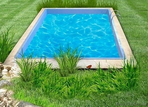 Самый лучший бассейн на земле - Изображение #1, Объявление #1256472