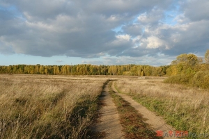 Продается зем. участок 90ГА с мини-фермой и жилым домом в 250 км от Москвы - Изображение #3, Объявление #1286242
