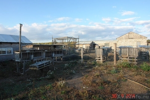 Продается зем. участок 90ГА с мини-фермой и жилым домом в 250 км от Москвы - Изображение #8, Объявление #1286242