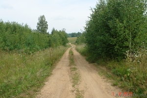 Сдам или продам земельный участок 20ГА в 250 км от Москвы - Изображение #9, Объявление #977610