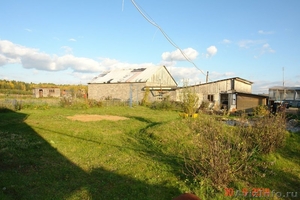 Продается мини-ферма со своим пастбищем и жилым домом в 250 км от Москвы - Изображение #3, Объявление #1286239