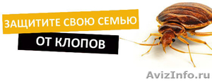 Уничтожение грызунов и насекомых в Москве - Изображение #1, Объявление #1285584