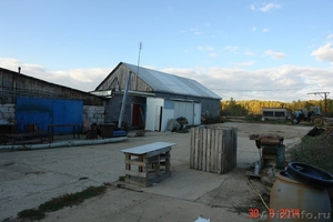 Продам фермерское хозяйство (земля, строения, жилье) в 250 км от Москвы - Изображение #10, Объявление #1302997