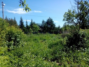 Земельный участок 8,5 соток по Рублево-Успенскому или Новорижскому шоссе - Изображение #1, Объявление #1318216