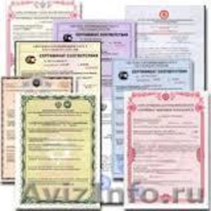 Бизнес по оказанию услуг Сертификации в Таможенном Союзе - Изображение #2, Объявление #1326627
