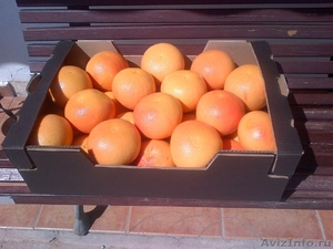 Грейпфрут Pomelo из Испании - Изображение #1, Объявление #1329733
