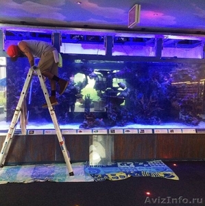 Мы занимаемся обслуживанием аквариумов, океанариумов, террариумов и палюдариумов - Изображение #1, Объявление #1325070