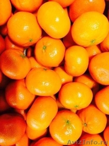 Продаем мандарины  из Испании - Изображение #1, Объявление #1328934