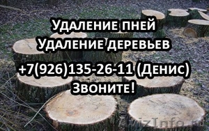 Удаление пней и деревьев, работают профессионалы - Изображение #1, Объявление #1339960