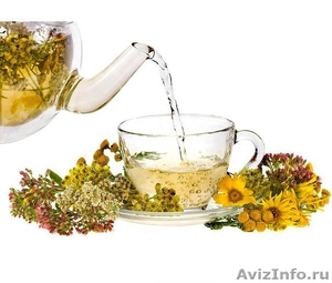 Полезные чаи на основе растений - Изображение #1, Объявление #1344492