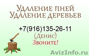 Удaлeние дeревьев, удаление пней арбористами - Изображение #1, Объявление #1358847