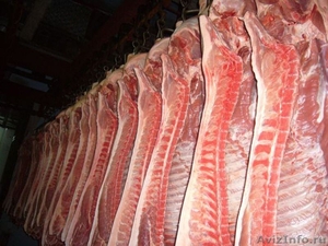 Свинина в полутушах 140руб,кг - Изображение #1, Объявление #1384169